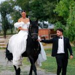 Bride and groom with a horse in a lush outdoor wedding scene.
